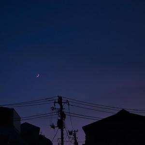 肛门犯罪电影在线观看
